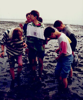 lange_watt.jpg (42801 Byte)